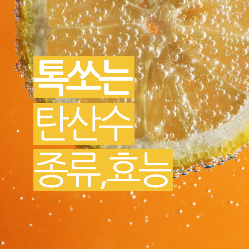  톡 쏘는 맛 탄산수에 대해 알아보자