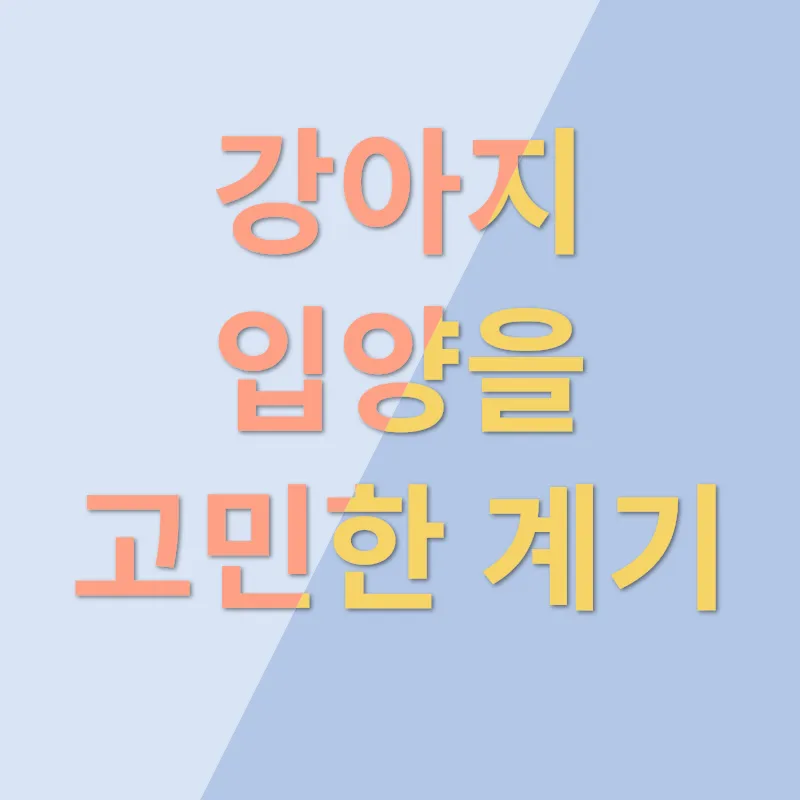 반려동물 입양_2