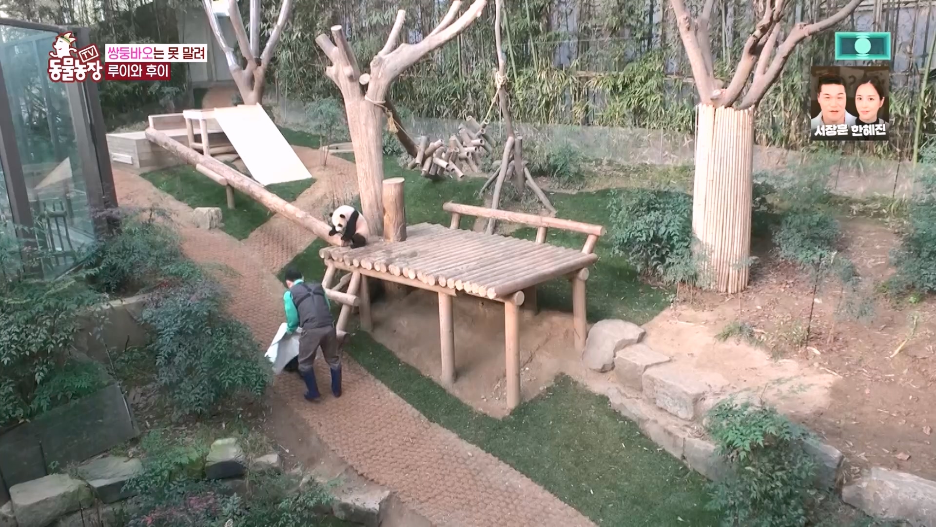 TV 동물농장.E1160.240225p.H264-F1RST.mp4_20240225_165127.249.jpg