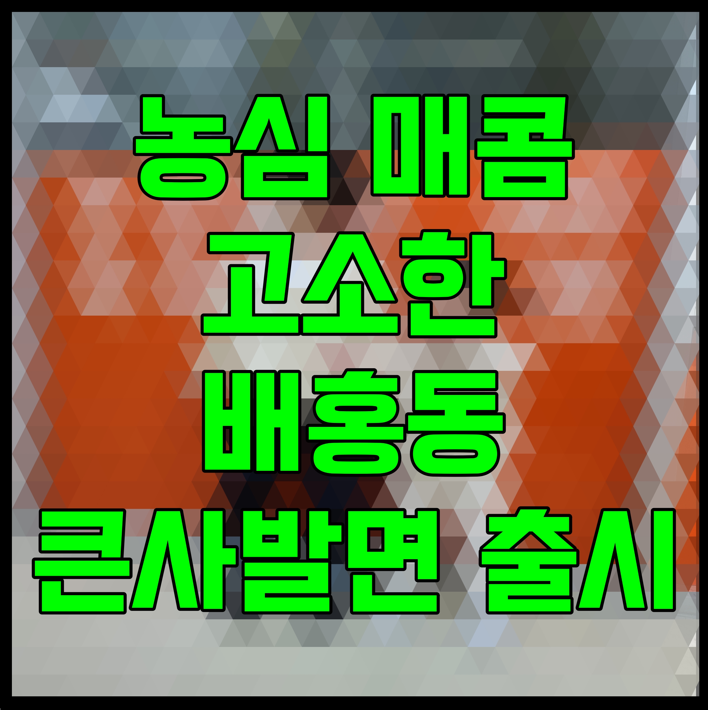  농심 매콤 고소한 배홍동 큰사발면 출시