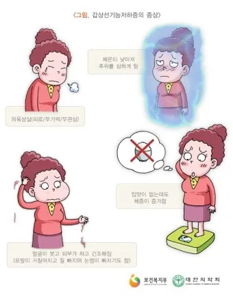 갑상샘 저하증 갑상선 기능저하증 증상 수치 치료_13