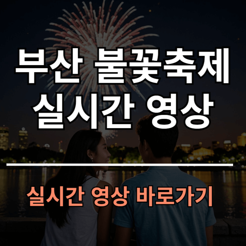 부산 불꽃축제 실시간 영상으로 시청 방법 5가지