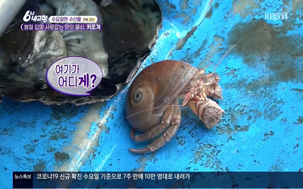 6시 내고향.E7510.220414p.H264-F1RST.mp4_20220419_185742.621.jpg
