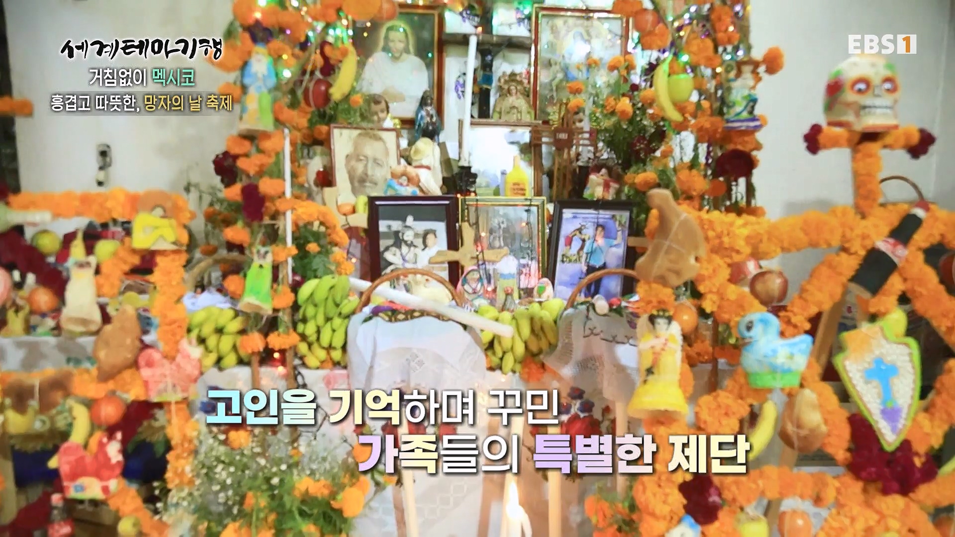 세계테마기행 240110 거침없이 멕시코 -맵다 매워 삐까삐까, 오아하카0p.mp4_20240713_163415.442.jpg