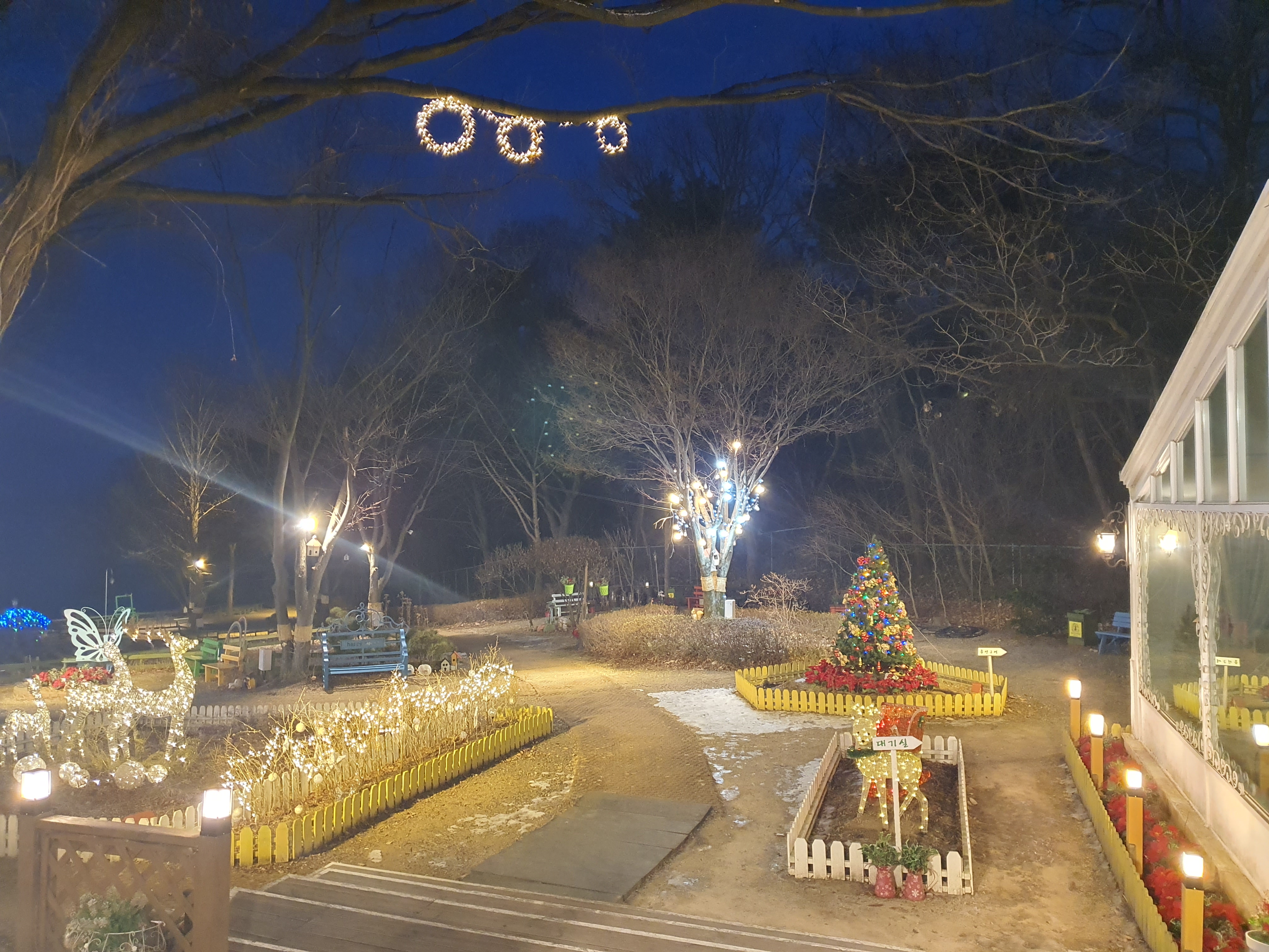  드라이브도 하고 맛있는 것도 먹고