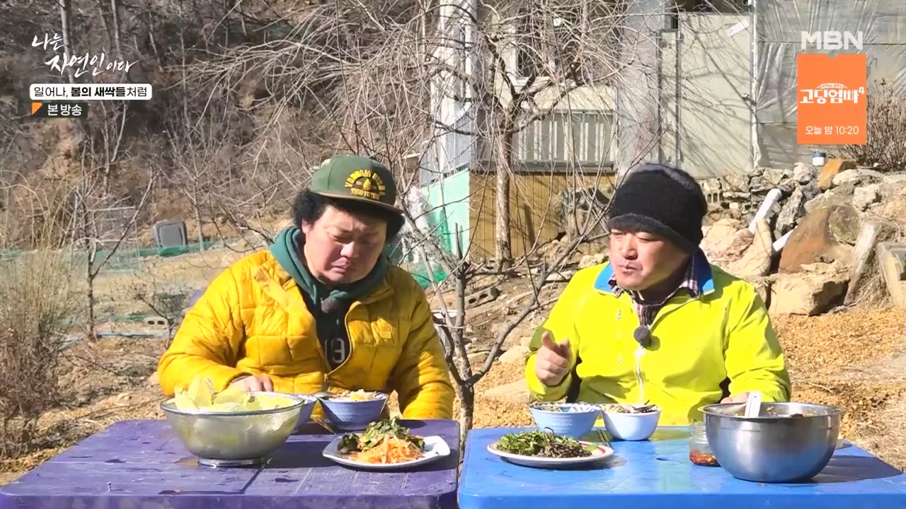 나는 자연인이다.E593.240215p-NEXT.mp4_20240215_200731.628.jpg