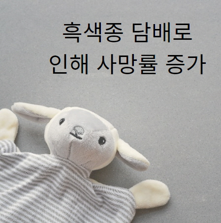 대표 사진