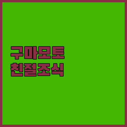구마모토에서 편안한 밤.. 친절한 서