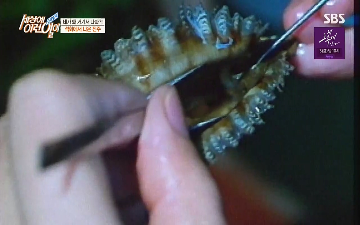 순간포착 세상에 이런일이.E1182.220532p-NEXT.mp4_20220601_171640.952.jpg