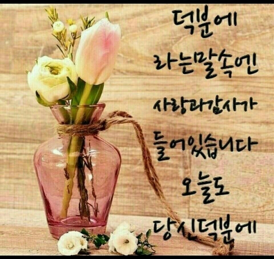  오늘의 좋은글 244번째 듣기 좋은 피드백은 독이든 꿀물입니다