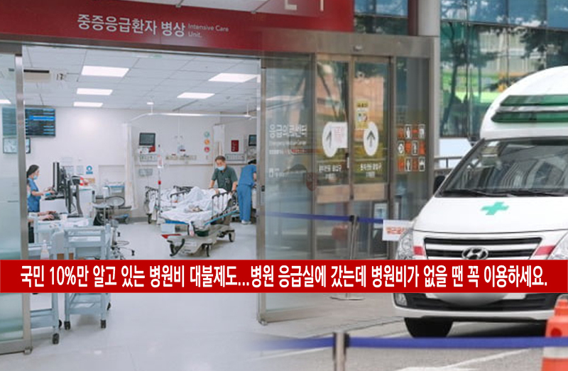  응급실 병원비 대불제도