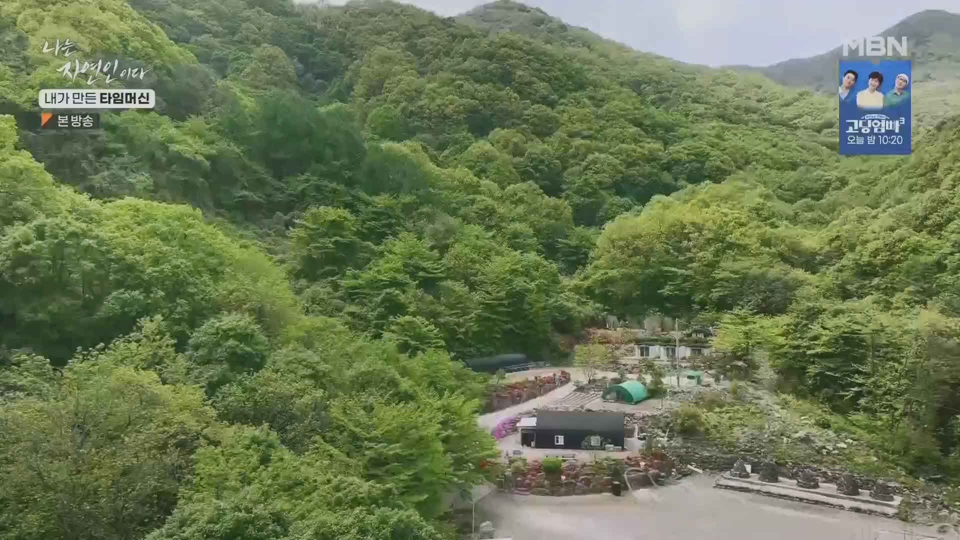나는 자연인이다.E555.230524p.H264-F1RST.mp4_20230526_212803.477.jpg