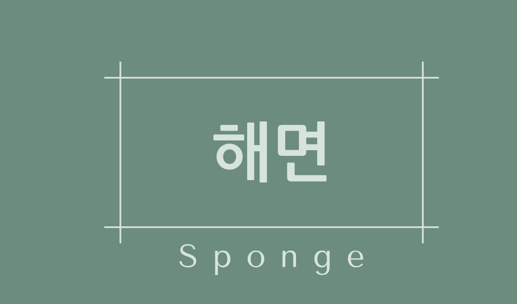 해면(Sponge)