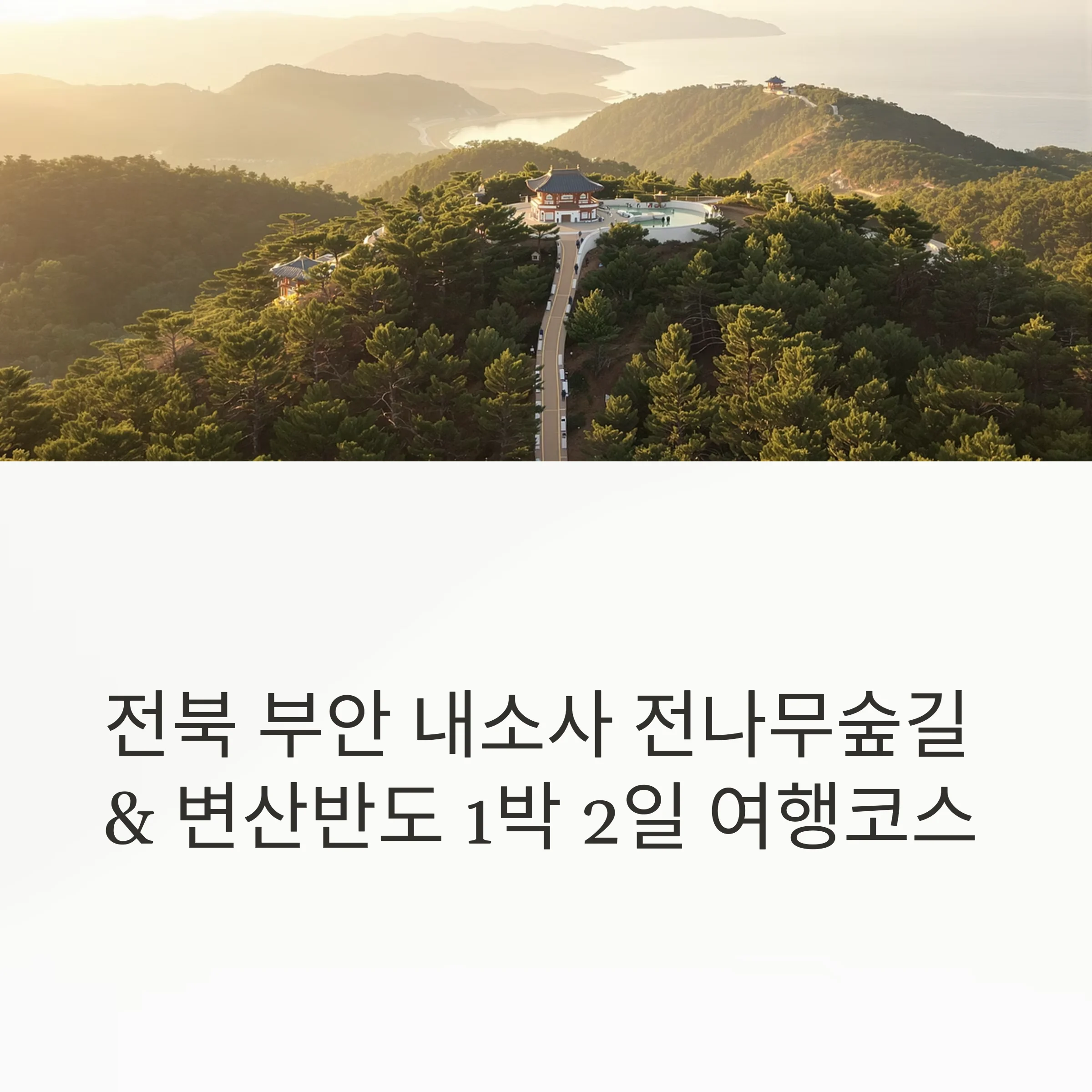 전북 부안 내소사 전나무숲길 &amp; 변산반도