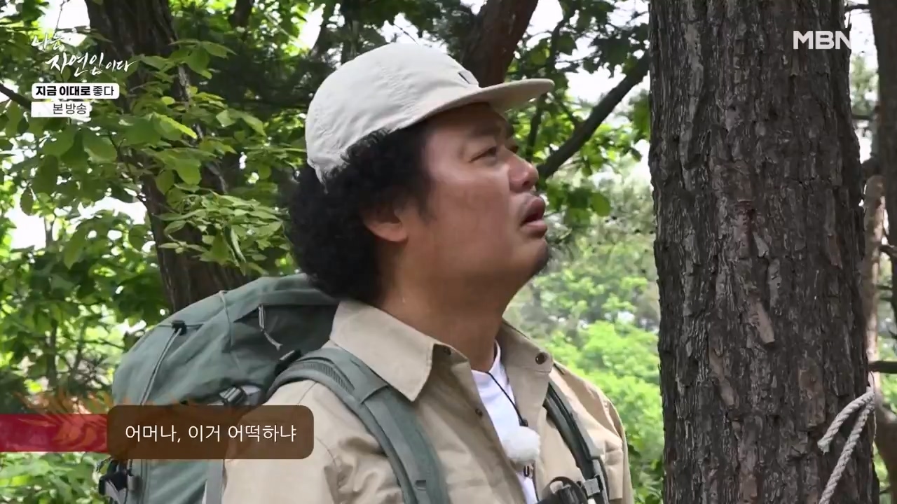 나는 자연인이다.E605.240516p-NEXT.mp4_20240516_194923.581.jpg
