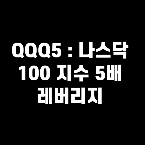 QQQ5 : 나스닥 100 지수 5배 레버리지