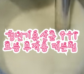 갱년기유산균-YT1-효능-부작용