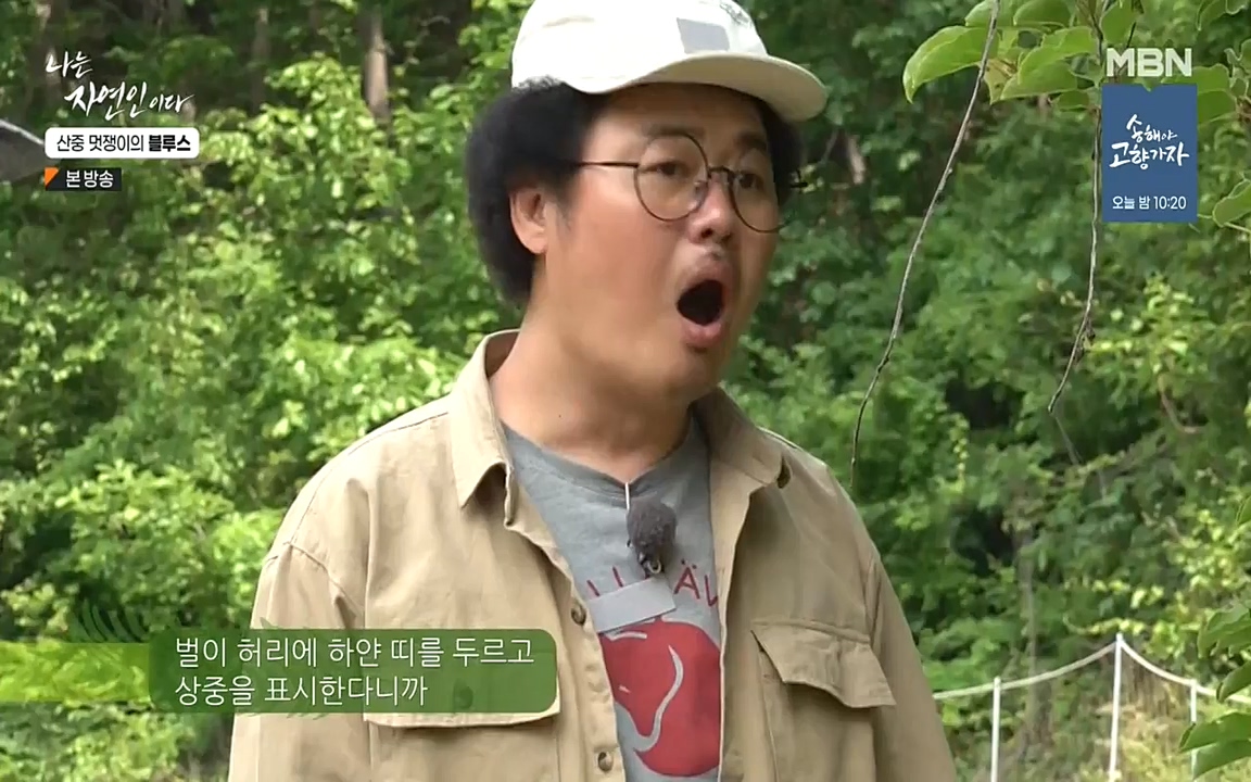 나는 자연인이다.E505.220609p-NEXT.mp4_20220609_200158.871.jpg