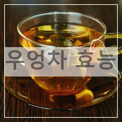 우엉-효능-부작용-우엉차-만드는법