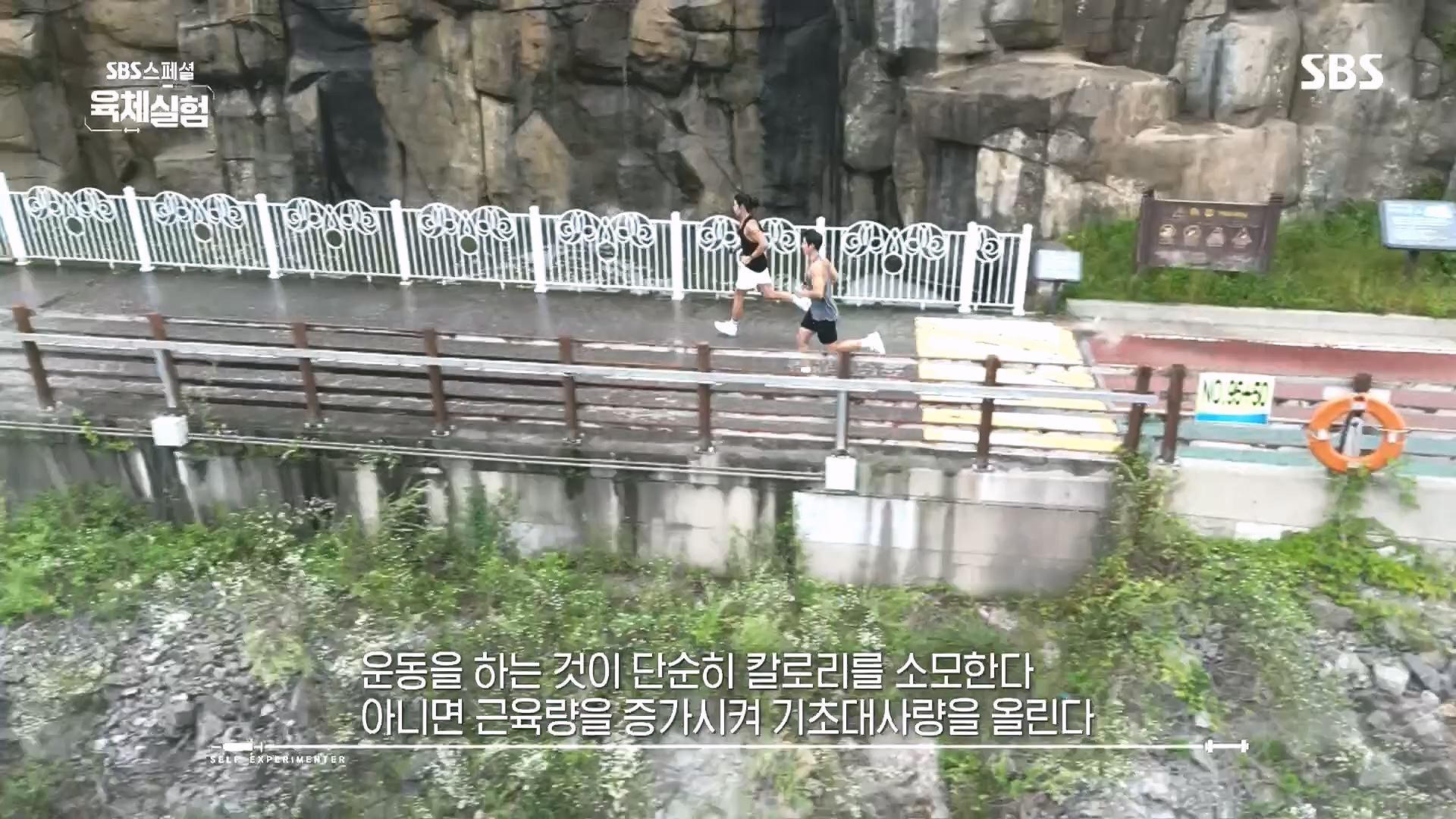 SBS 스페셜.E655.231015p.H264-F1RST.mp4_20231016_203704.409.jpg