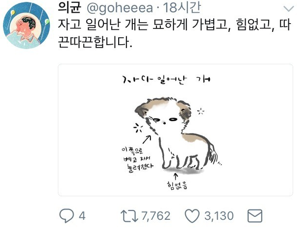  자고 일어난 댕댕이 특징.jpg
