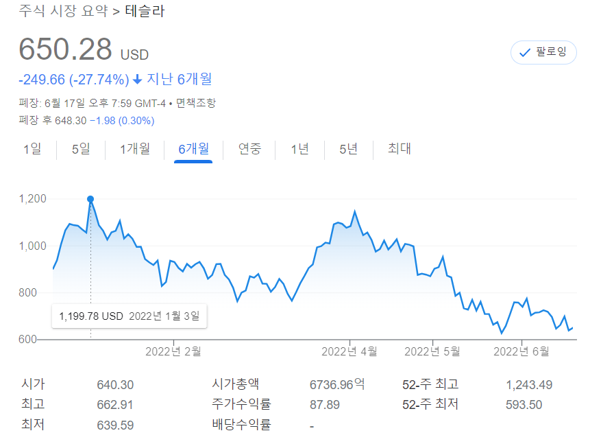 테슬라-주식차트-사진