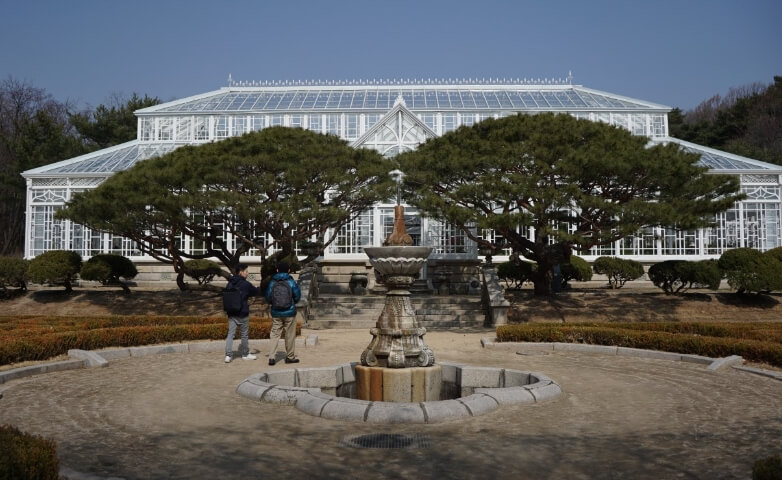 서울근교 겨울 여행지 온실 식물원