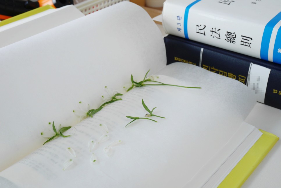 방법, 책만 있으면 끝! 압화 만들기 쉬운 13