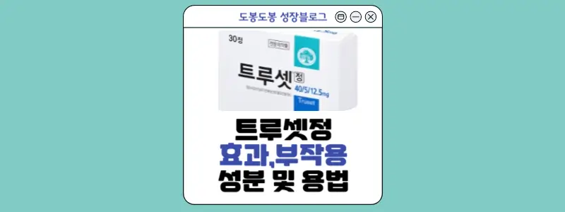 트루셋정 안내 이미지