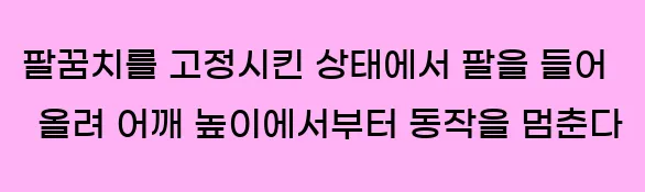  2. 팔꿈치를 고정시킨 상태에서, 팔을 들어 올려 어깨 높이에서부터 동작을 멈춘다.