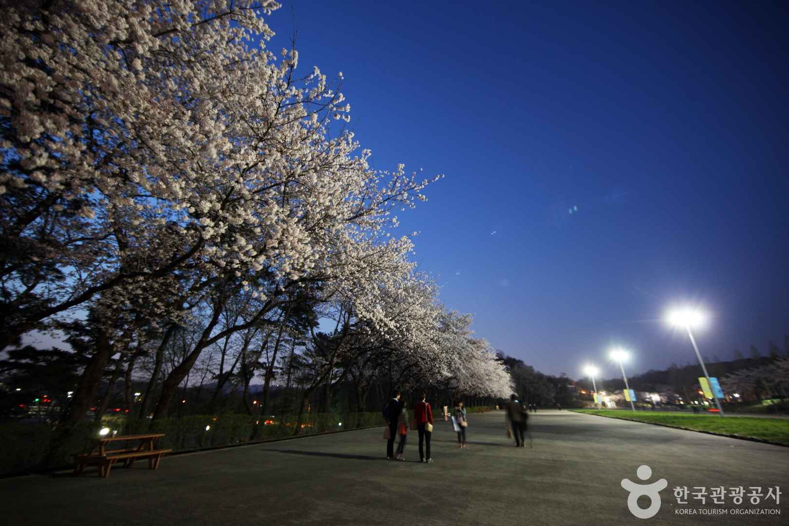 서울대공원