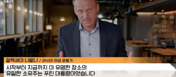 러시아 야권 운동가 알렉세이 나발니