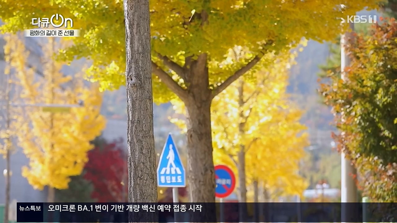 다큐 On.E172.221119p.H264

-F1RST.mp4_20221122_201831.288.jpg