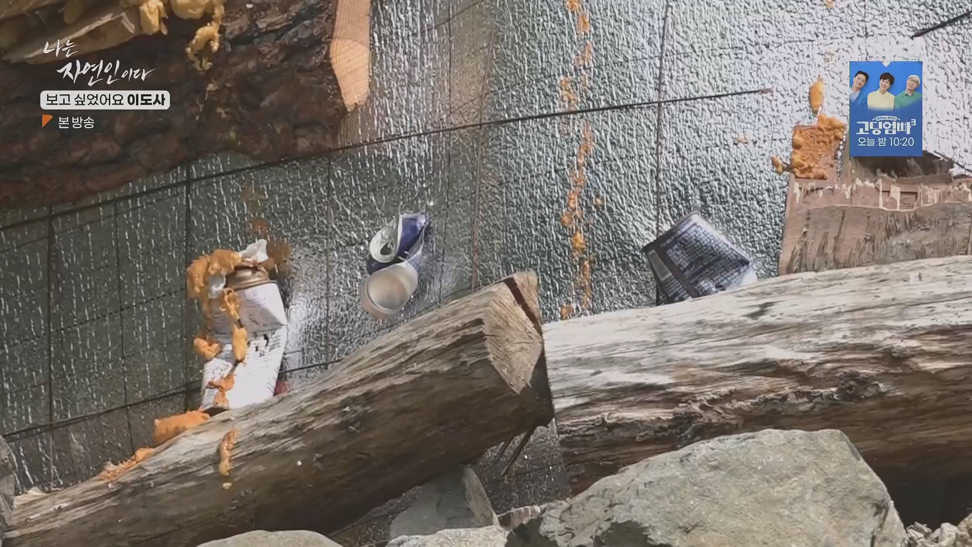 나는 자연인이다.E553.230510p.H264-F1RST.mp4_20230511_195231.395.jpg