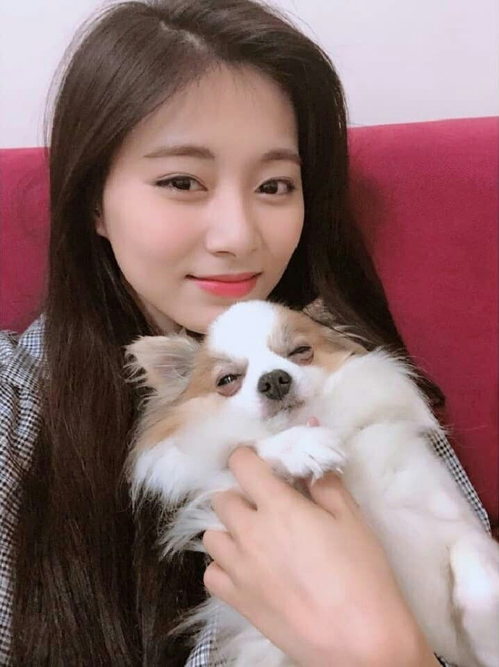 트와이스 쯔위 본명 키 혈액형 생일 MBTI