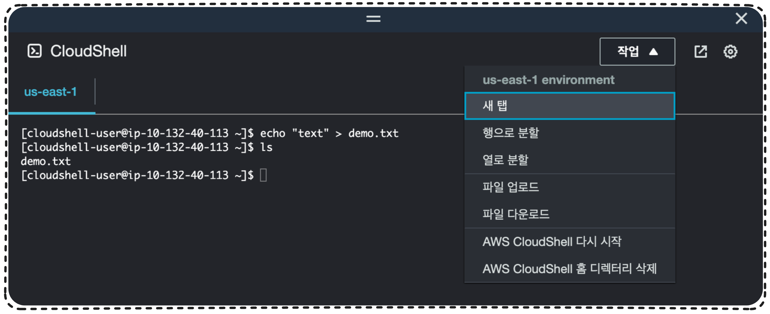 [SAA-C03] 3. AWS CLI, Cloud Shell