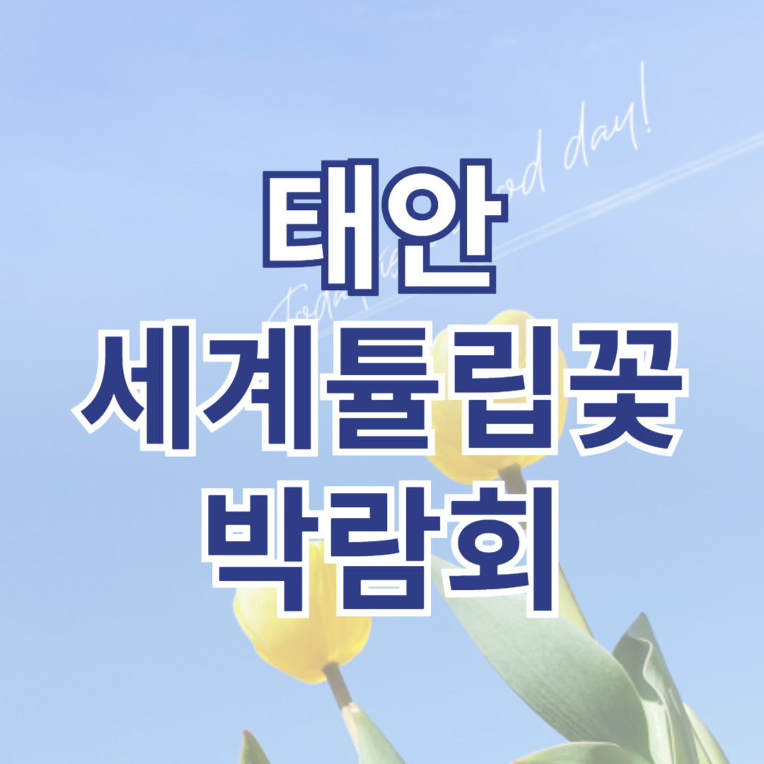 태안 세계튤립꽃 박람회