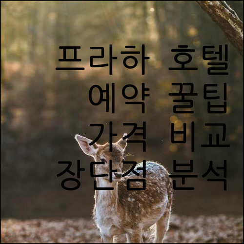 프라하 호텔 예약 전 꼭 확인하세요 