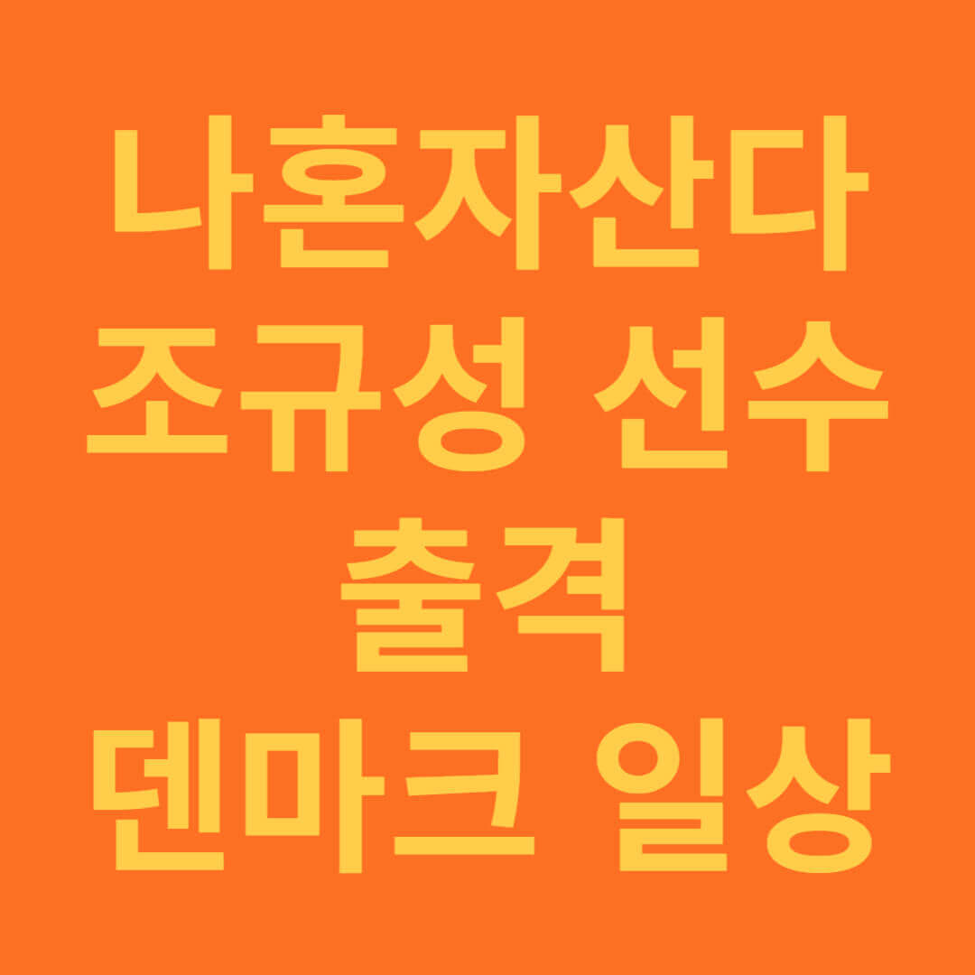 나 혼자 산다 조규성 선수 덴마크 일상