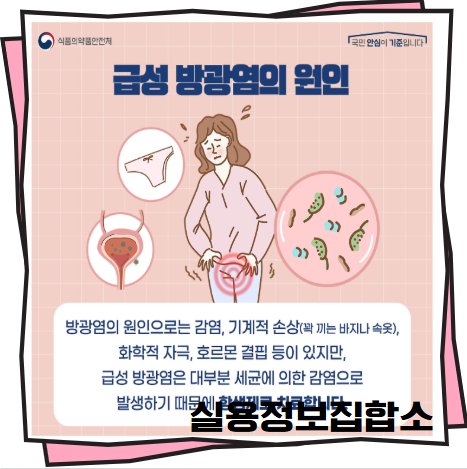 남자방광염증상