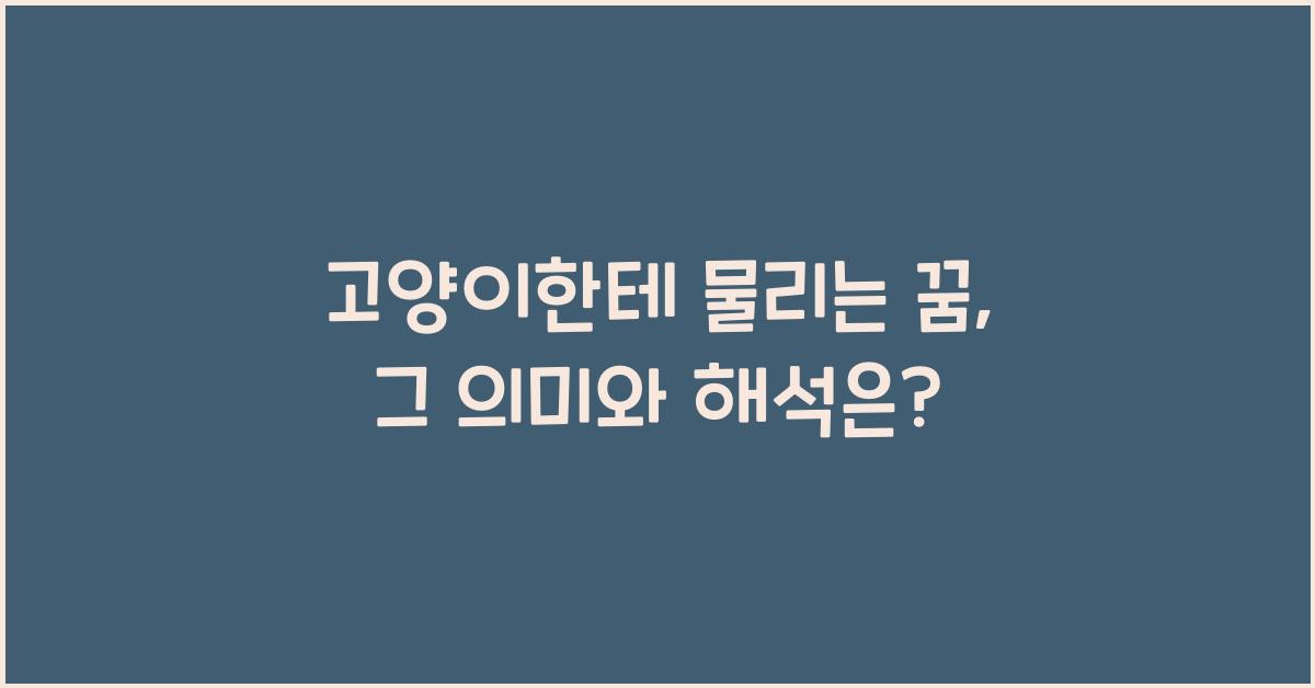 고양이한테 물리는 꿈