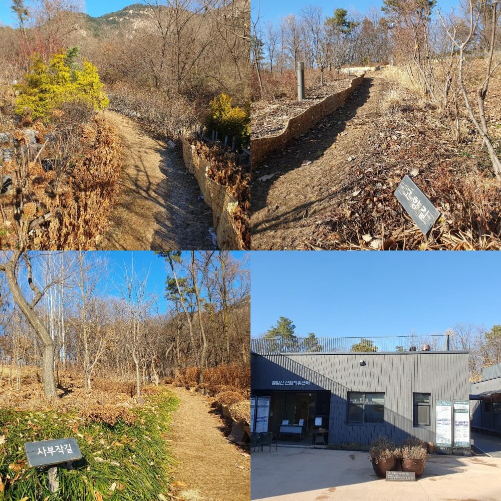 불암산 산림치유센터