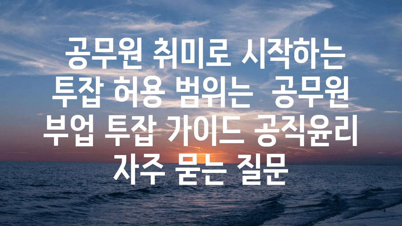  공무원 취미로 시작하는 투잡 허용 범위는  공무원 부업 투잡 설명서 공직윤리 자주 묻는 질문