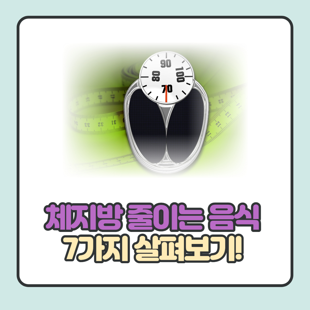  체지방 줄이는 음식 7가지 및 식사습관 알아보기