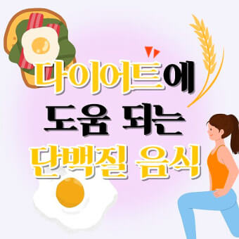 다이어트와 단백질