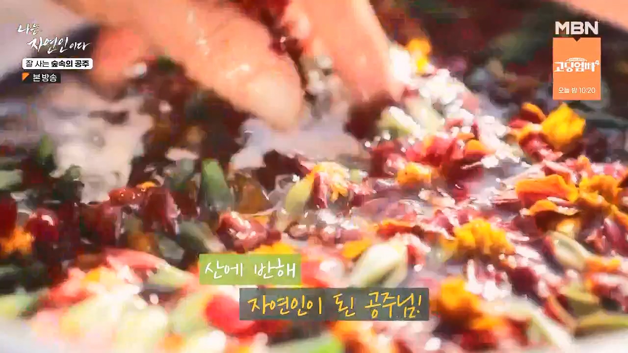 나는 자연인이다.E582.231130p-NEXT.mp4_20231130_200811.861.jpg