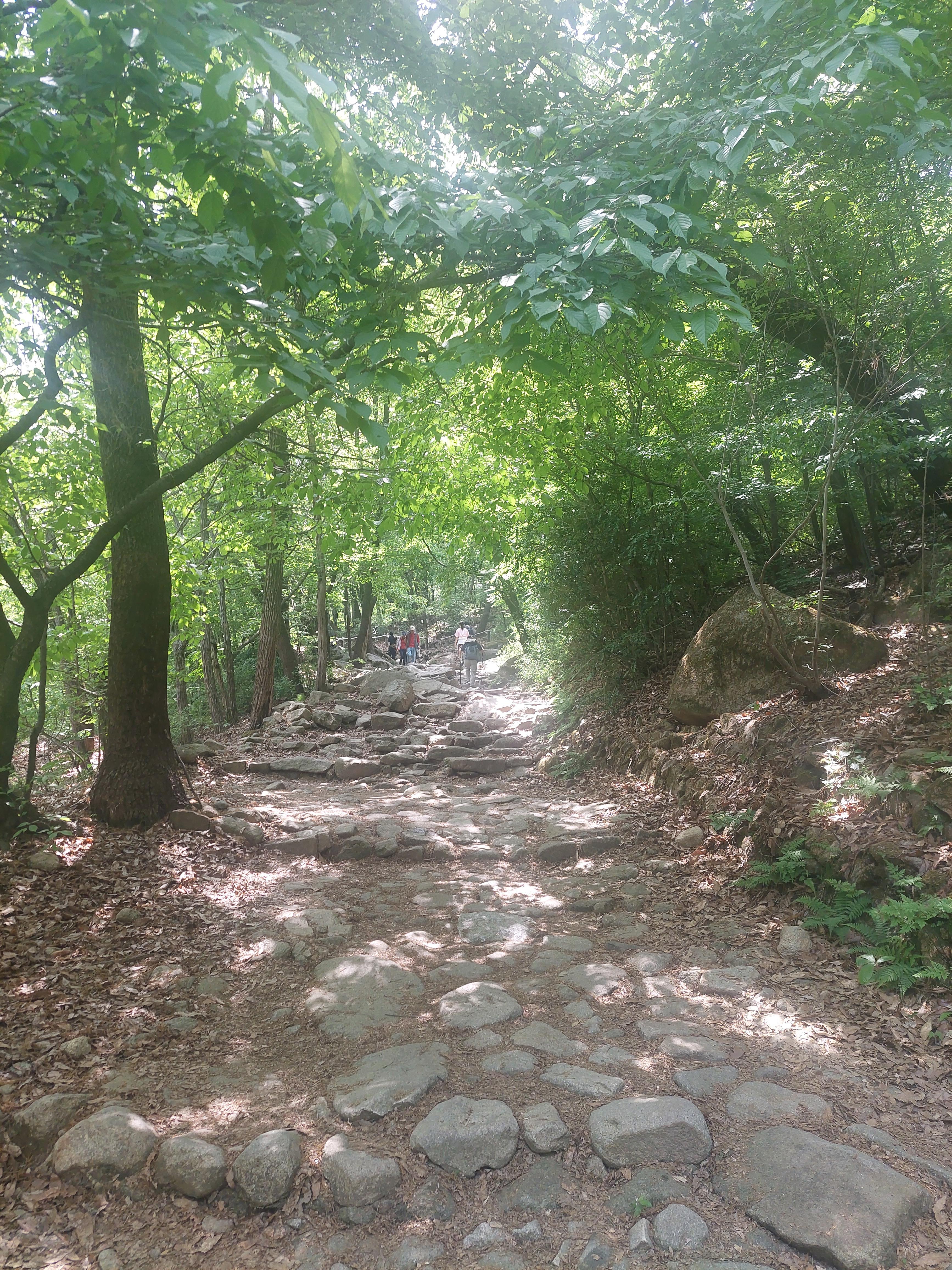 관악산 연주대