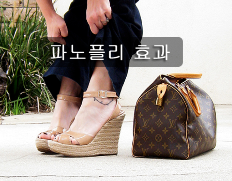 파노플리 효과