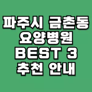 파주시-금촌동-요양병원