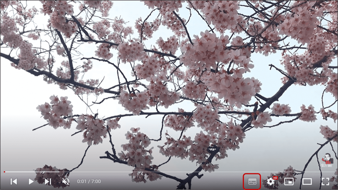 유튜브 자막 자동 켜짐 해결 쉽게 하기